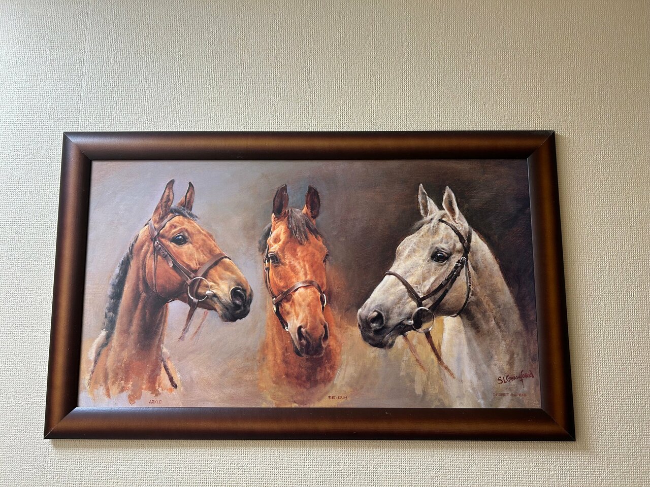 Хостел Невский Калининград-50