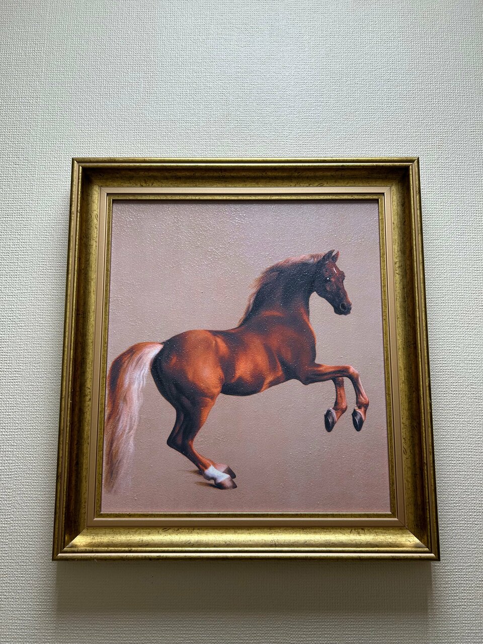 Хостел Невский Калининград