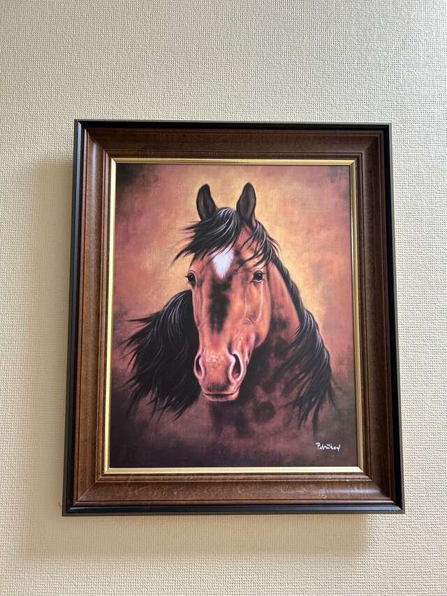 Хостел Невский Калининград-57