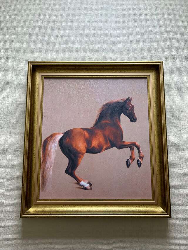 Хостел Невский Калининград-53